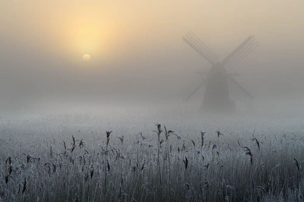 The fog of war